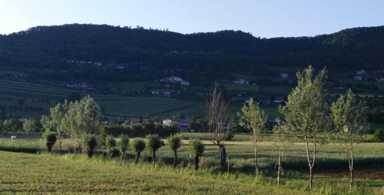 La Pergola Alloggio Brendola Экстерьер фото