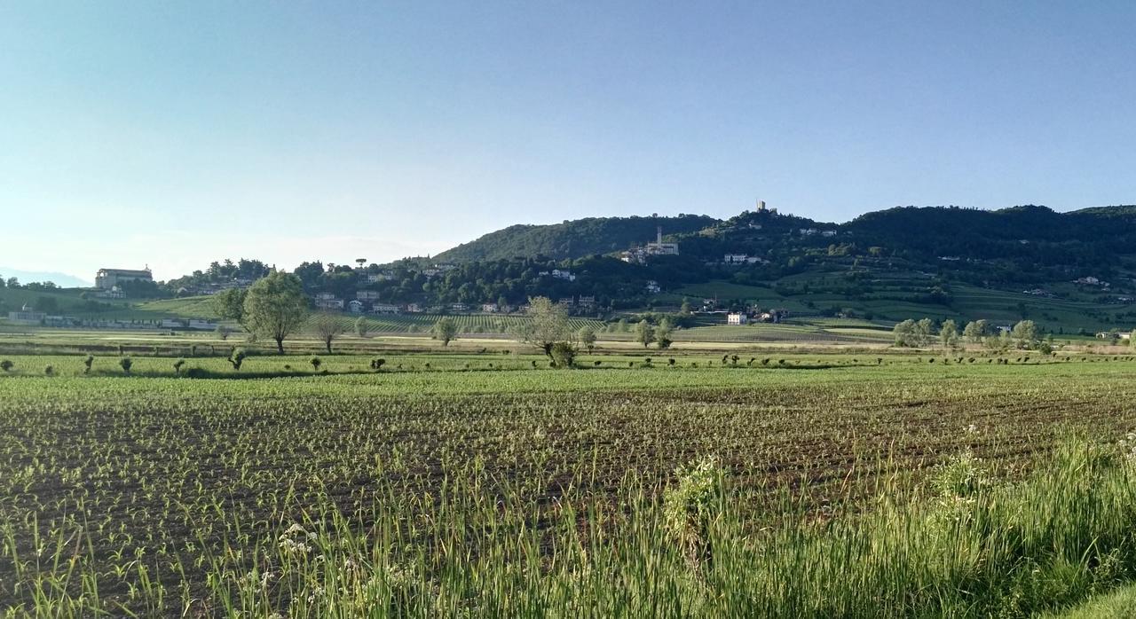 La Pergola Alloggio Brendola Экстерьер фото